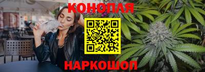 индика Дубна