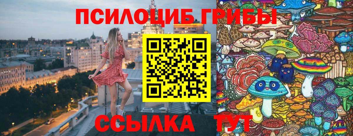 Псилоцибиновые грибы Psilocybine cubensis Мариинск