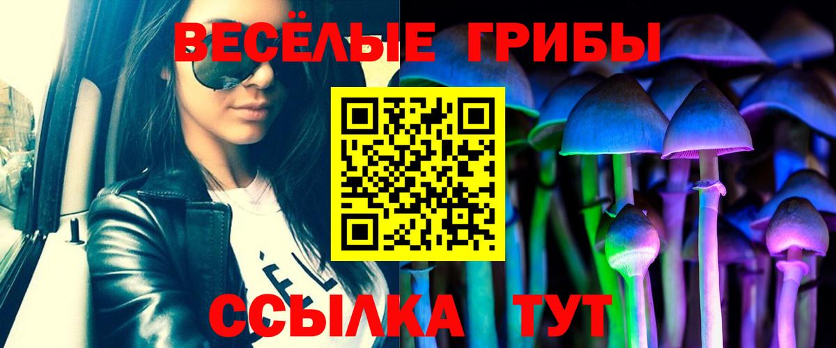 где купить   Вход с VPN  Мариинск  Псилоцибиновые грибы Psilocybine cubensis 
